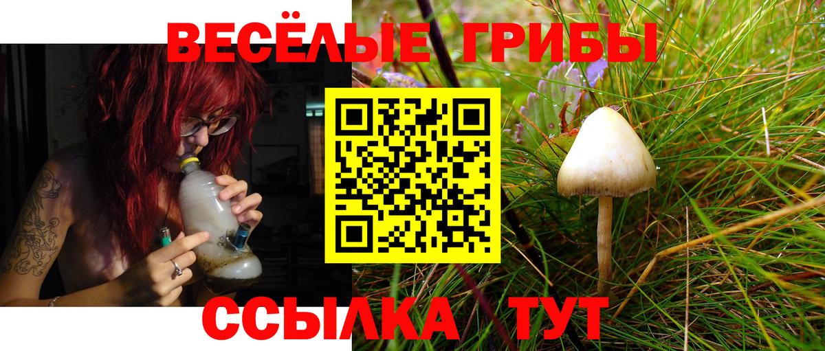 Галлюциногенные грибы Magic Shrooms Ликино-Дулёво