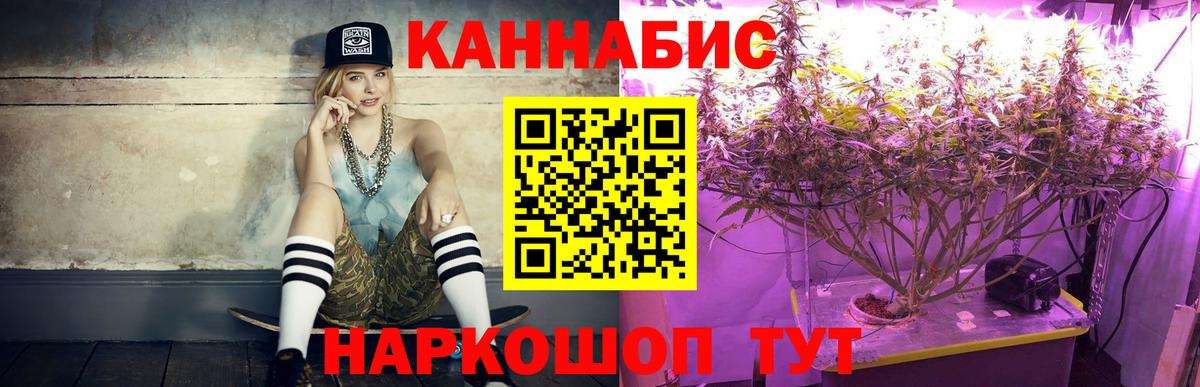 Канабис OG Kush Ликино-Дулёво